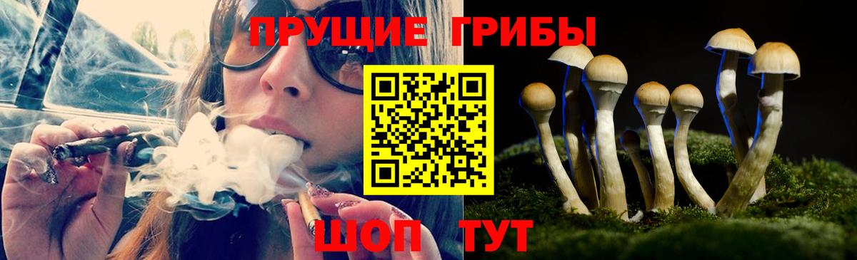 Канаш  Галлюциногенные грибы прущие грибы  Вход с VPN  Галлюциногенные грибы мухоморы 